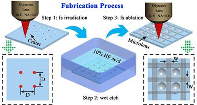 Bioinspired Underwater Superoleophobic Microlens Array With Remarkable Oil-Repellent and Self-Cleaning Ability